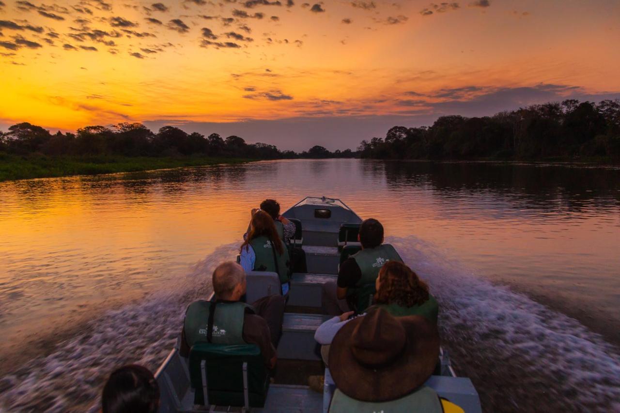 Pantanal Jungle Lodge Passo do Lontra エクステリア 写真