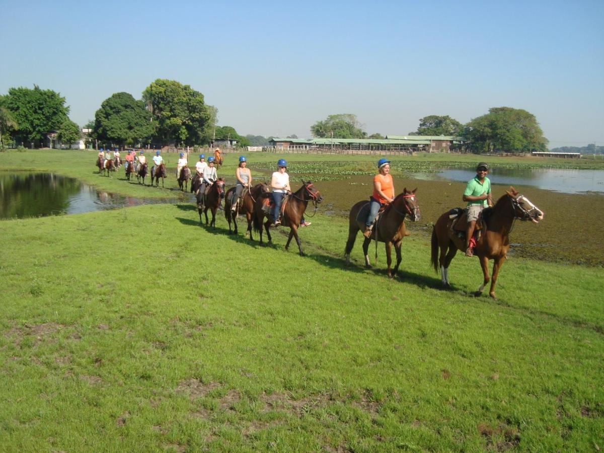 Pantanal Jungle Lodge Passo do Lontra エクステリア 写真